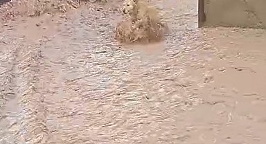 Sivas'ta sağanak sele neden oldu