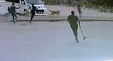 Sokak köpeklerinin saldırdığı çocuğu esnaf kurtardı