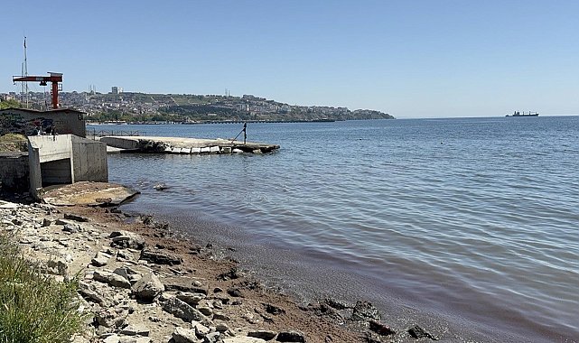 Tekirdağ'da kuvvetli rüzgar sonrası sahil kırmızı yosunlarla kaplandı