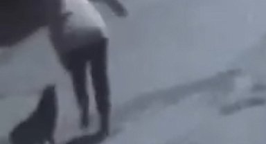 Tekirdağ'da sokak köpeğinin ısırdığı kadın yaralandı; o anlar kamerada