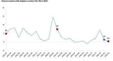 TÜİK: Hizmet üretim endeksi yıllık yüzde 0,4 arttı