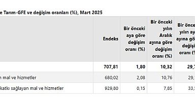 TÜİK: Tarımsal girdi fiyatları martta arttı