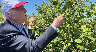 TZOB Genel Başkanı Bayraktar: Zirai donda yüzde 70 ile yüzde 100'ler mertebesinde hasar var