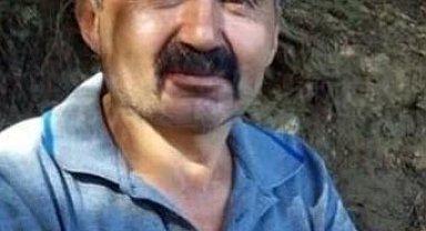 Üzerine ağaç devrilen kesim işçisi öldü