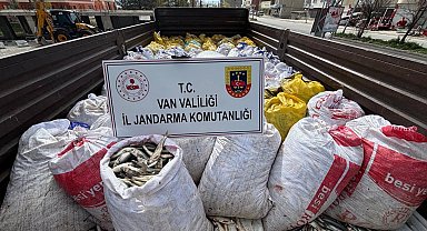 Van'da 3 ton 820 kilo inci kefali ele geçirildi