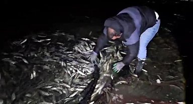 Van'da kaçak avlanan 2,5 ton inci kefali ele geçirildi