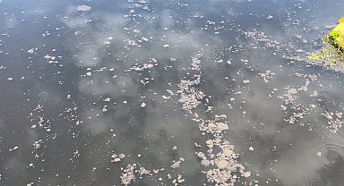 Yalova'da kanalizasyon suyu denize aktı, YASKİ'ye 4 milyon lira ceza yazıldı