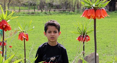 Yüksekova'da ters laleleri jandarma ekipleri koruyor