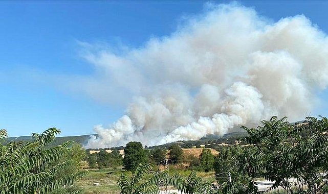 Bilecik Kurtköy'deki yangın kontrol altında