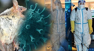 Çin'de yarasadan gelen yeni virüs alarmı mı var? ‘Henipavirus’ gerçekten tehdit mi? Uzmandan önemli açıklamalar...