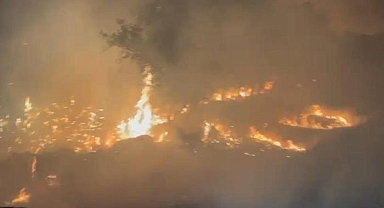 Diyarbakır’ın Ergani ve Lice ilçelerindeki yangın söndürüldü