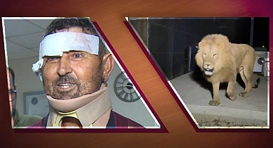 Türkiye'nin konuştuğu adam taburcu oldu! Aslanla mücadelesini anlattı: 