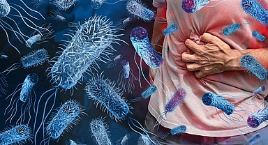 Sağlık Bakanlığı açıklama yaptı: Türkiye'de vibrio kaynaklı hastalık var mı? Vibrio bakterisi nedir?